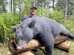 black bear hunting at lodge in northern maine