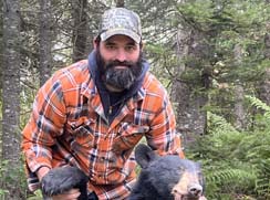 black bear hunting at lodge in northern maine