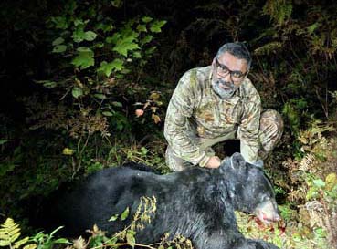 black bear hunting at lodge in northern maine